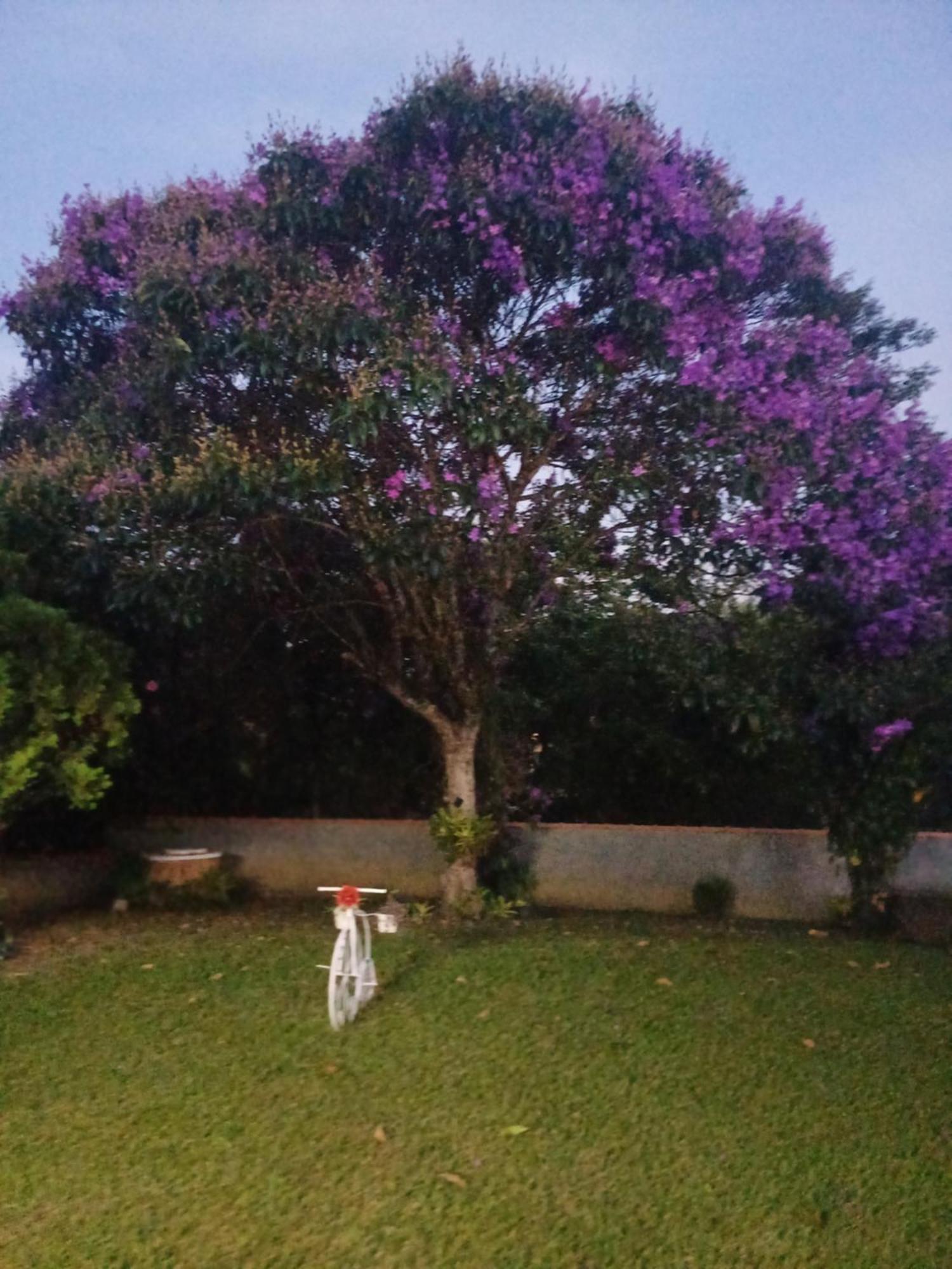 Cantinho Da Serra